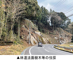 林道法面樹木等の伐採