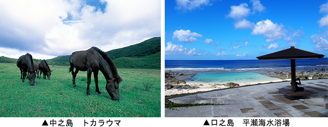 左：中之島　トカラウマ　右：口之島　平瀬海水浴場