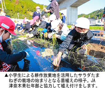 小学生によるサラダ玉ねぎの栽培
