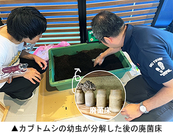 カブトムシの幼虫が分解した後の廃菌床