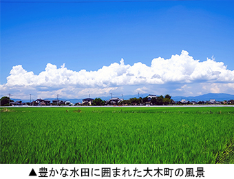 豊かな水田に囲まれた大木町の風景