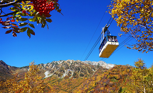紅葉する秋の立山連峰。ロープウェイが観光客を運ぶ。