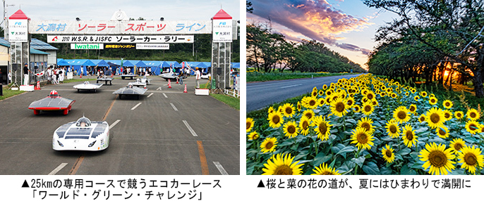 左:エコカーレース 右:桜と菜の花の道が、夏にはひまわりで満開に