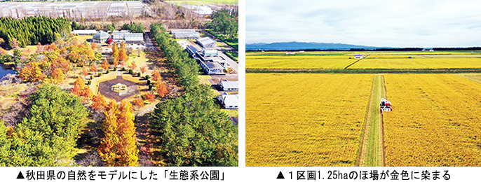 左:秋田県の自然をモデルにした「生態系公園」 右:1区画1.25haのほ場が金色に染まる