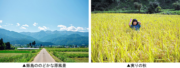 左：飯島ののどかな原風景　右：実りの秋
