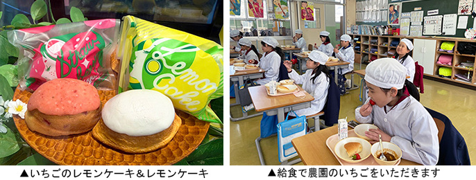 左:いちごのレモンケーキ&レモンケーキ 右:給食で農園のいちごをいただきます