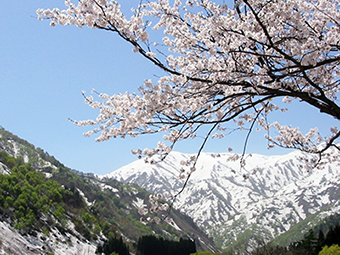 小国町の風景