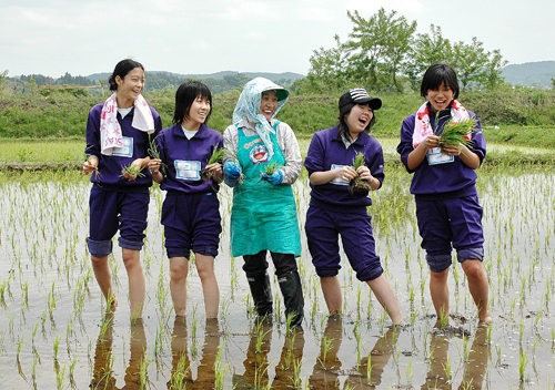 農業体験修学旅行の受け入れ風景の写真
