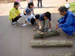 椎茸の駒打ち作業で交流