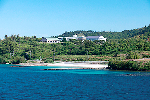 島根県立隠岐島前高等学校の写真
