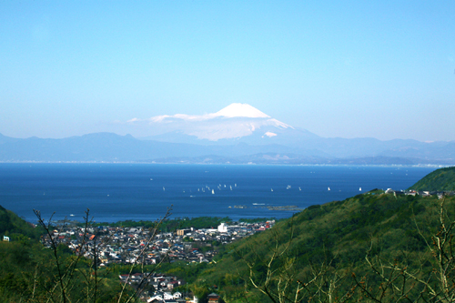湘南国際村からのながめの写真