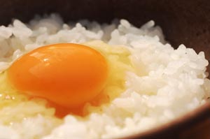 美咲流「卵かけごはん」の写真