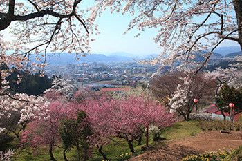 赤館城跡より望む町の風景の写真