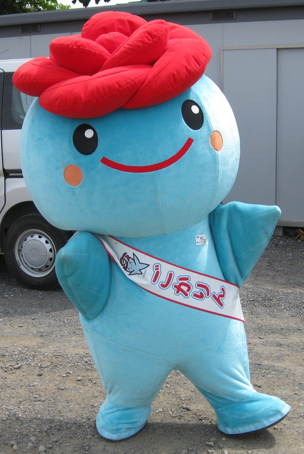 ごかりん