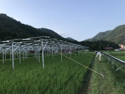 写真１　ソーラーシェアリングの実施例