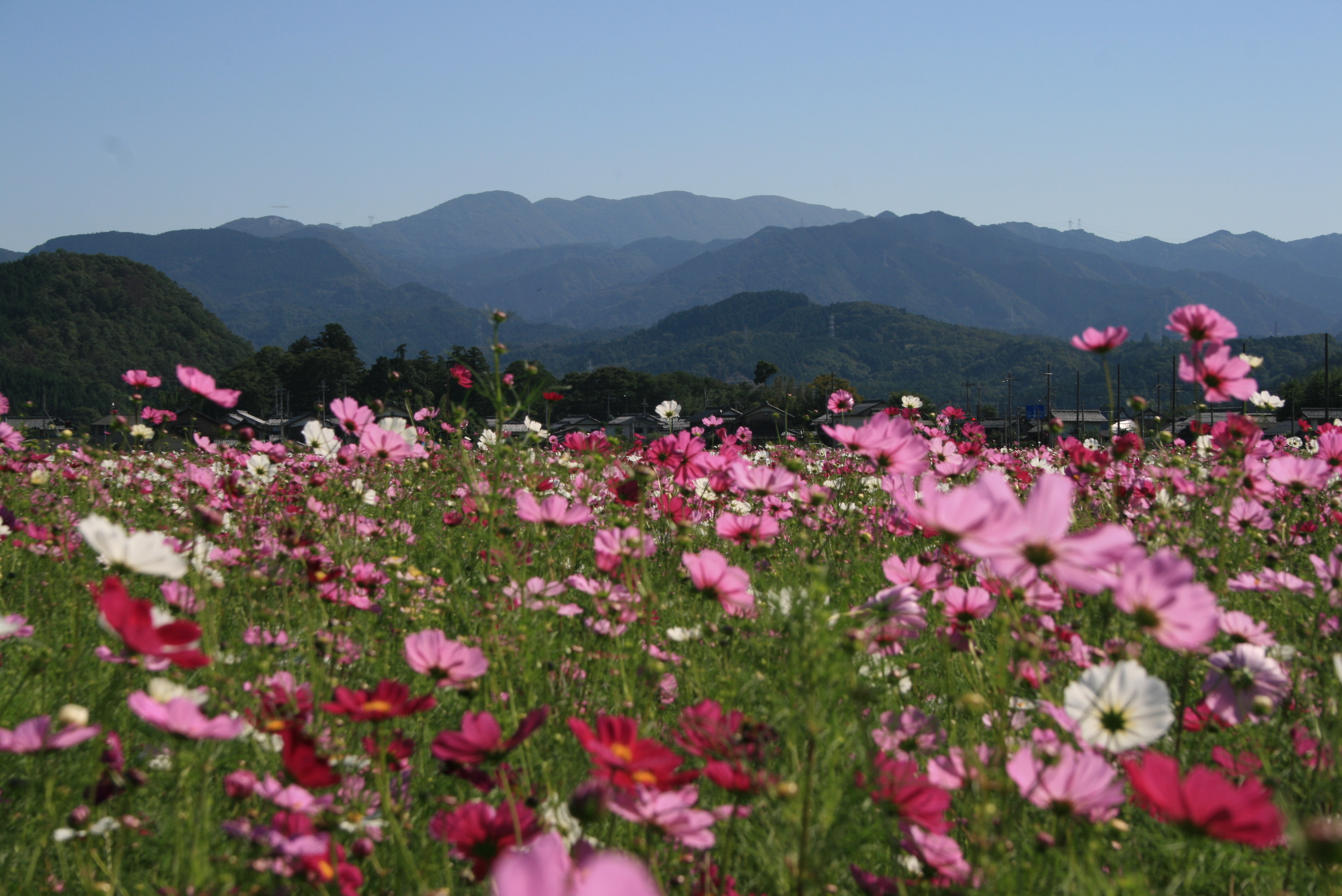 鈴鹿の山並み