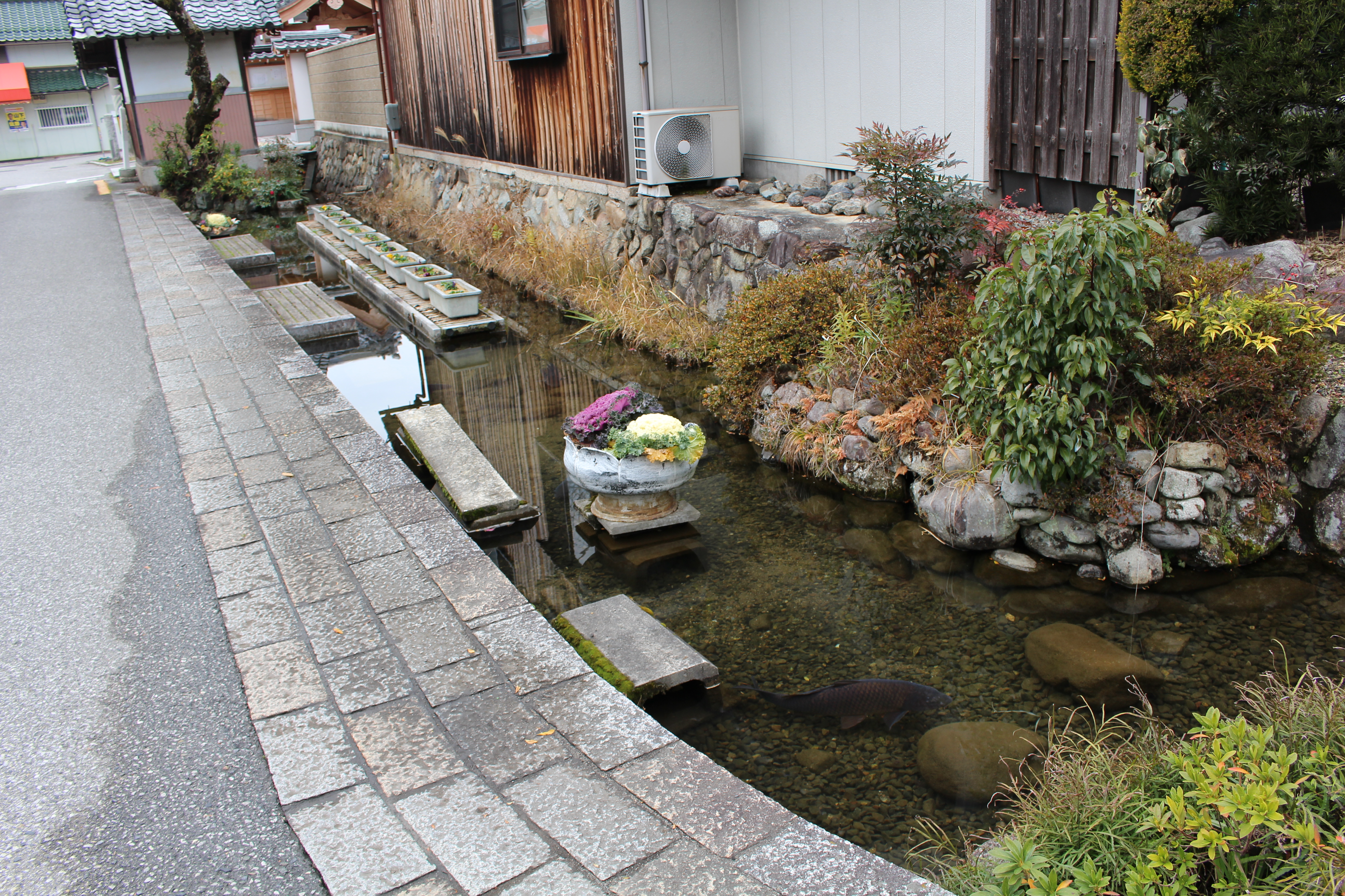 町内を流れる親水性水路（下之郷地区）