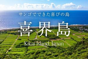 太平洋とサトウキビ畑を眼下に望む
