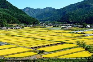 ブランド米　雪ほたかの里